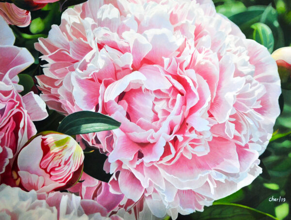 Peonies