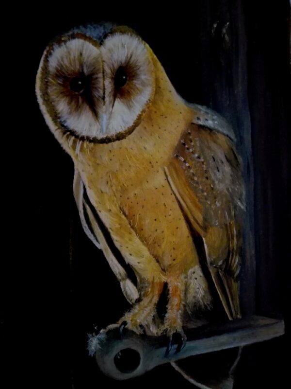 Owl in Oil,