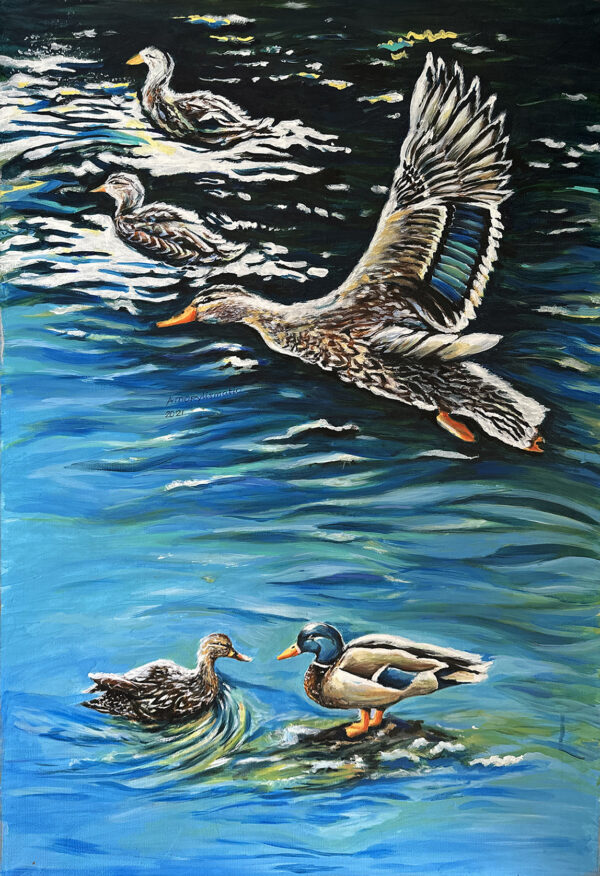 Duck Flying