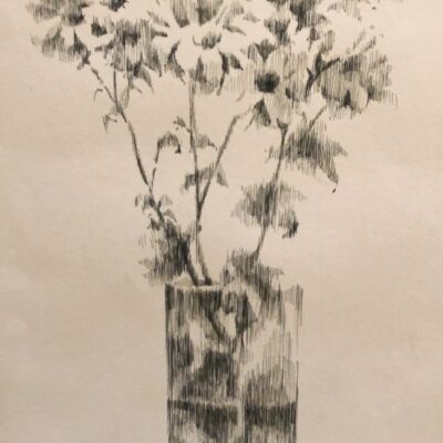 Lines of Bloom
